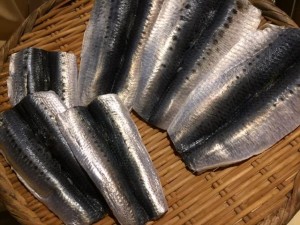 image1_3.JPG