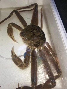 image1_3.jpeg