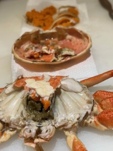 せいこ蟹北海道2