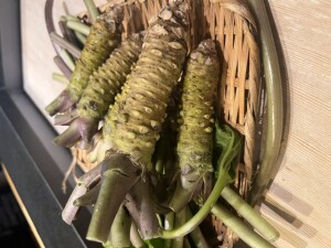 山葵